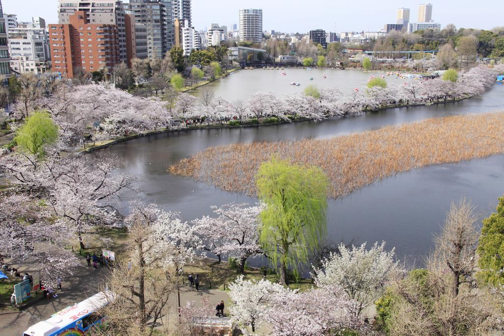 Centurion Hotel Ueno Tokyo Eksteriør billede